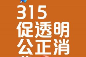 电商315是什么意思；电商315是什么意思啊