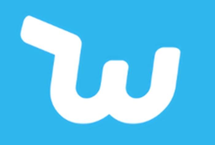 wish跨境电商平台官网中文名（wish跨境电商平台官网中文名称是什么）