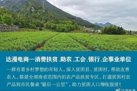 达漫电商平台靠谱吗 达漫电商平台官网