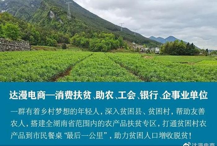 达漫电商平台靠谱吗 达漫电商平台官网 达漫电商平台靠谱吗 达漫电商平台官网