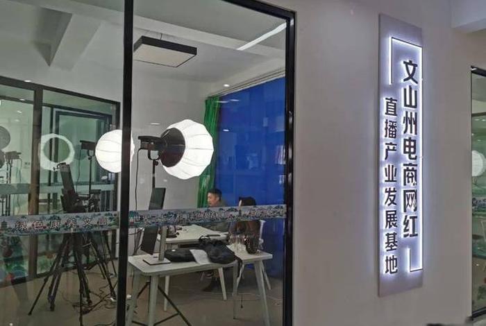 云南电商直播(数字云南电商直播基地) 云南电商直播(数字云南电商直播基地)