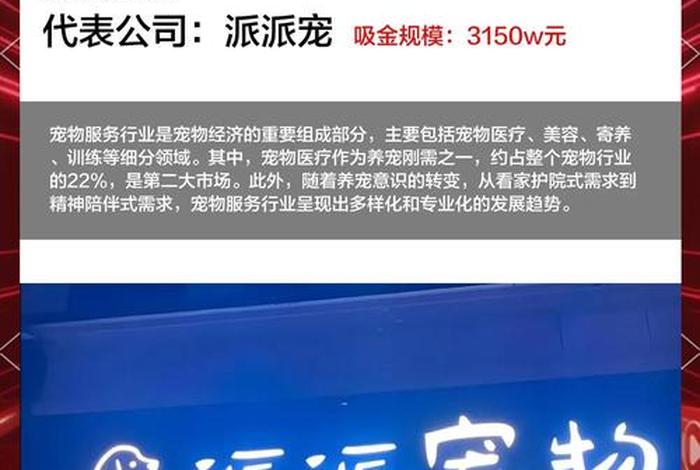 宠物电商公司的企业文化和价值观 - 宠物电商公司的企业文化和价值观有哪些 宠物电商公司的企业文化和价值观 - 宠物电商公司的企业文化和价值观有哪些