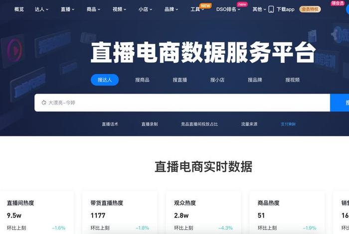 电商平台数据去哪里查，电商平台数据查询