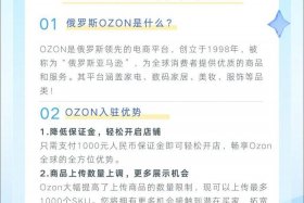 ozon入驻条件、ozon入驻条件2025