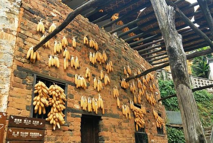 婺源电商运营培训机构、婺源电商运营培训机构排名 婺源电商运营培训机构、婺源电商运营培训机构排名