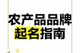 农产品电商公司名称怎么起名 农产品电商公司名称怎么起名好听