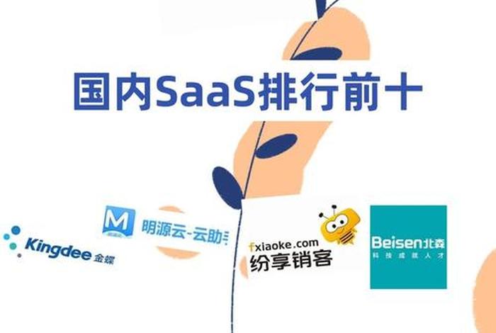 电商saas公司(国内电商saas软件公司排名) 电商saas公司(国内电商saas软件公司排名)