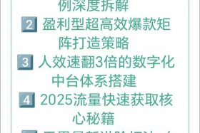 电商大战2025（电商大战2024）