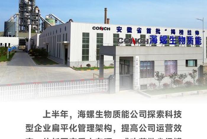 海螺电子商务有限公司，海螺商贸有限公司