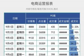 电商运营月报表模板 - 电商运营月报表模板怎么做