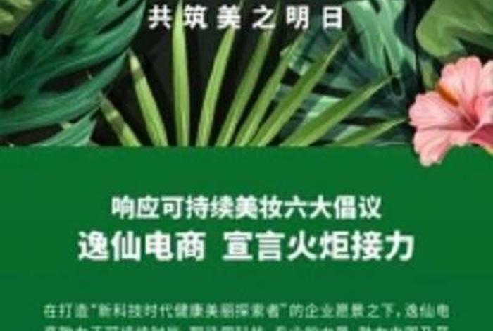 逸仙电商代码 逸仙电商代码查询