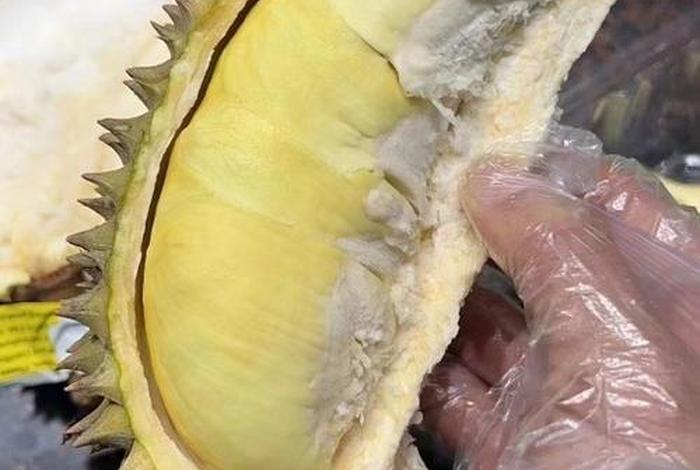 直播 电商 榴莲 - 直播 电商 榴莲是真的吗 直播 电商 榴莲 - 直播 电商 榴莲是真的吗