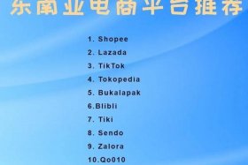 东南亚电商shopee - 东南亚电商shopee._