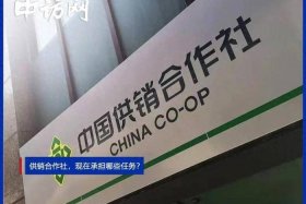 供销社平台（供销社平台是真是假）