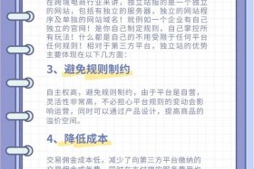 跨境电商独立站是哪个平台、跨境独立站是什么