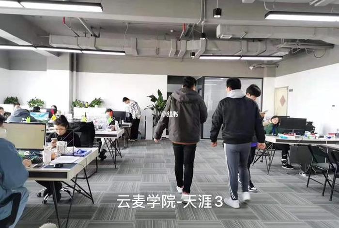 云麦电商学院、云麦学院是不是割韭菜 云麦电商学院、云麦学院是不是割韭菜