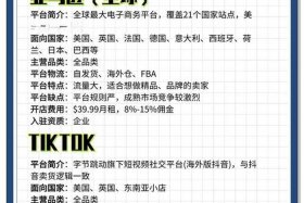 进口跨境电子商务平台有哪些？；进口跨境电子商务平台有哪些,优势和劣势