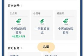 邮政电商标快查询入口官方；邮政电商快递单号查询