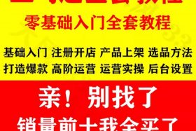 亚马逊电商培训课程视频（亚马逊电商培训课程视频教学）