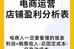 电商平台运营利润；运营一个电商平台需要投资多少钱