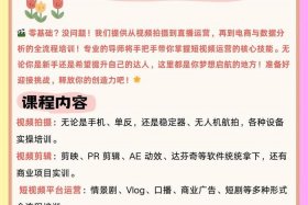 电商培训课程推广引流、电商平台引流推广