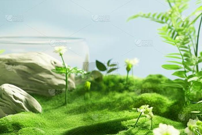 电商森林户外背景 - 电商森林场景建模 电商森林户外背景 - 电商森林场景建模