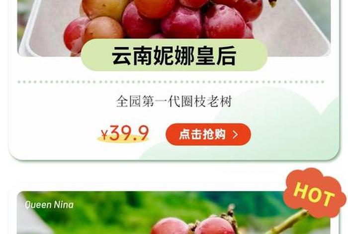 水果电商哪个平台好，水果电商哪个平台好一点