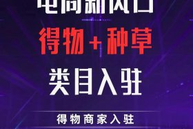 得物属于什么电商模式、得物属于什么电子商务模式