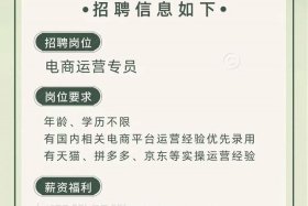 深圳招聘电商运营 - 深圳 电商运营 招聘