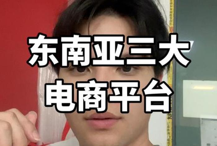 电商小白（华新同惠 电商小白）