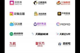 直播电商系统哪个好 - 直播电商平台有哪些2020