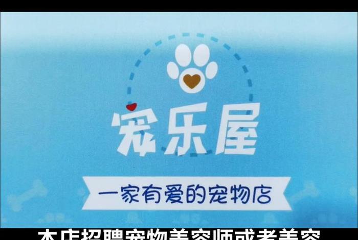 宠物电商运营训练营;宠物电商运营训练营招聘 宠物电商运营训练营;宠物电商运营训练营招聘