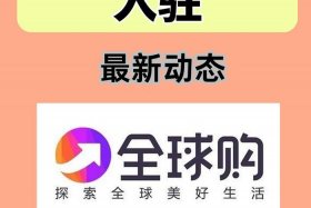 国际版抖音电商、国际版抖音电商现在还能做吗？