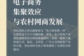 农村电商是做什么的；农村电商是做什么的工作
