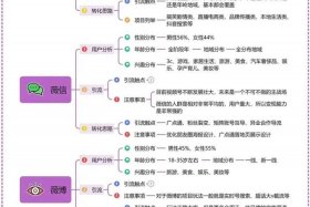 抖音电商平台运营策划书、抖音电商平台运营策划书范文