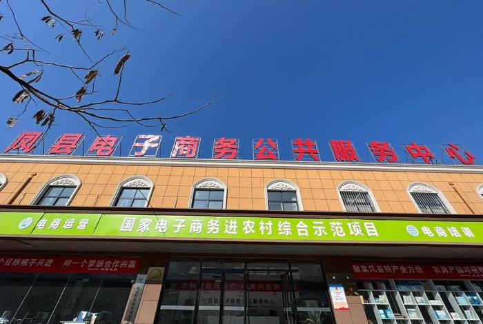 电商进农村项目，电商进农村项目怎么样