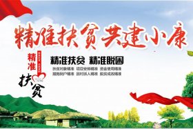 电商扶贫助力乡村振兴典型事例 - 电商助推产业扶贫、乡村振兴的典型研究