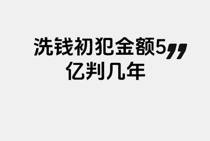 跨境电商洗钱五年以上（跨境洗钱判多少年）