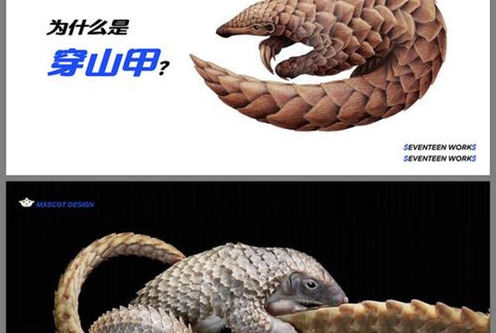 穿山甲电商联盟(穿山甲电商联盟支持哪些支付方式?) 穿山甲电商联盟(穿山甲电商联盟支持哪些支付方式?)