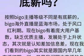 电商巨头bbg登陆中国；bigo电商平台