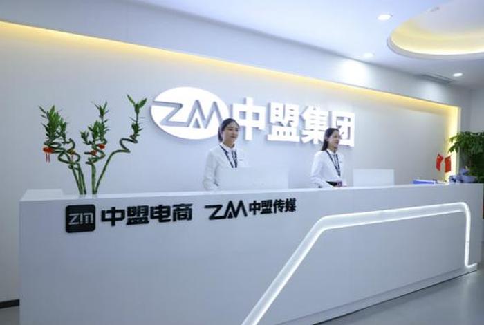 电商集团(中国)有限公司 电商集团中国有限公司 电商集团(中国)有限公司 电商集团中国有限公司