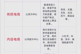 全域兴趣电商、全域兴趣电商和兴趣电商的区别