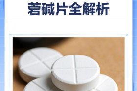 山莨菪碱电商运营团队 - 山莨菪碱商品名