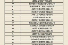 成都运营公司、成都运营公司十大排名榜