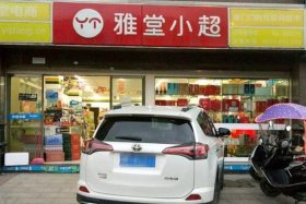 雅堂电子商务、雅堂电子商务怎么样