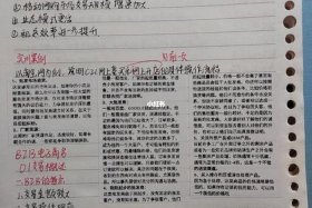 电商怎么做新手入门笔记；电商怎么做新手入门笔记模板