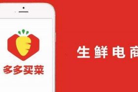 社区电商多多买菜 - 多多买菜社区电商怎么加盟