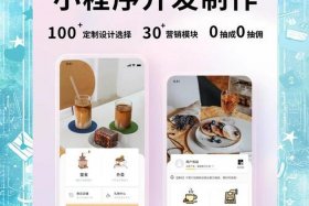 电商app开发服务平台，电商app开发服务平台怎么做