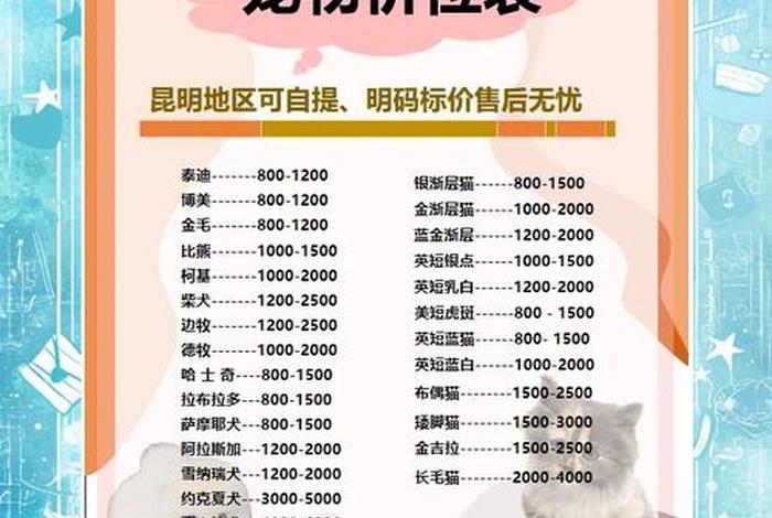 宠物店上班多少钱一个月;宠物店上班多少钱一个月工资 宠物店上班多少钱一个月;宠物店上班多少钱一个月工资