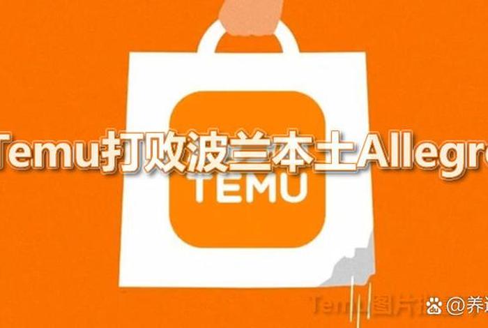 TEMU跨境电商平台怎么样 - temu跨境电商平台怎么样 TEMU跨境电商平台怎么样 - temu跨境电商平台怎么样